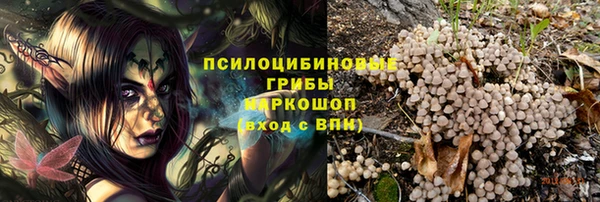 гидра Покачи