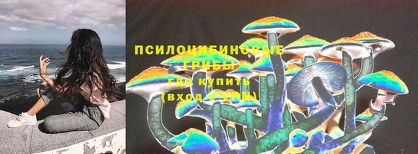 шишки Балабаново