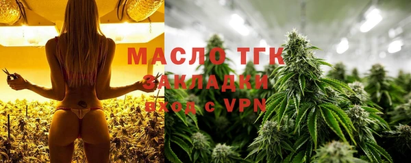 гидра Покачи