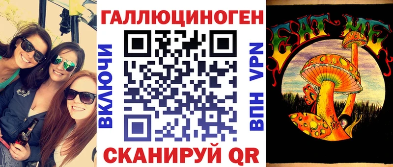 дарнет шоп  Новомичуринск  Галлюциногенные грибы Psilocybine cubensis 